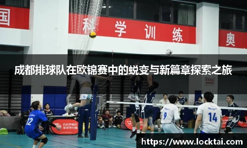 成都排球队在欧锦赛中的蜕变与新篇章探索之旅